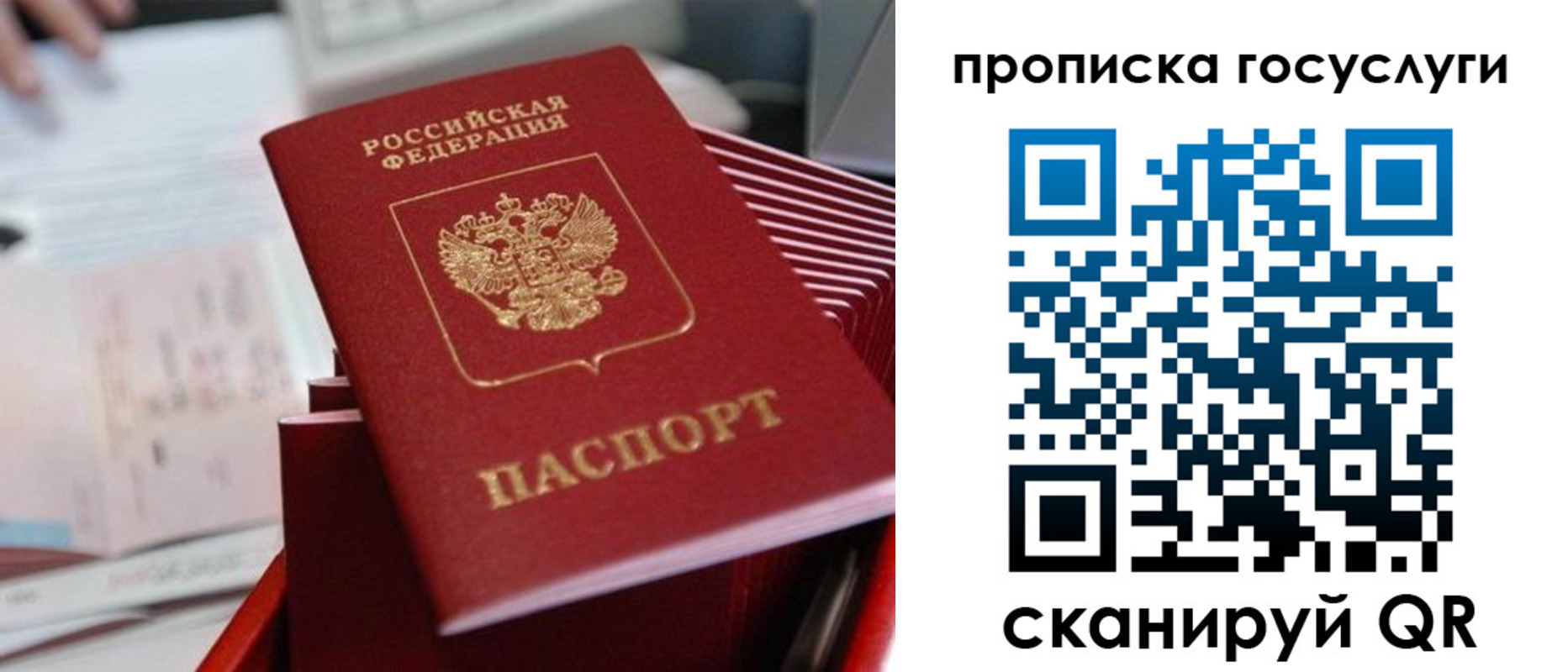 прописка законно в Королёве